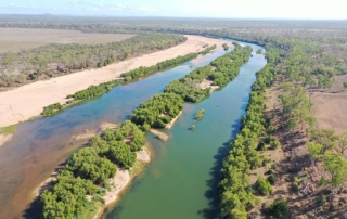 Targeted Fish Surveys Burdekin River